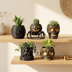 May include: Five decorative planters featuring dark themes: a black spiderweb pot with a snake plant, a pumpkin-shaped pot with spider legs holding a cactus, a black and gold skull pot with a succulent, a grim reaper rabbit pot, and a skull pot.