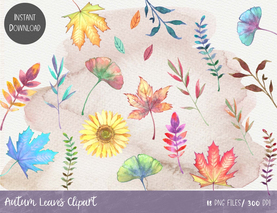 Watercolor Autumn Leaves Clipart, Fall Hand Painted Leaves, Instant ...