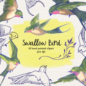 Clipart d’hirondelle peint à la main, illustrations d’oiseaux volants, ensemble graphique aquarelle, 18 fichiers png, téléchargement instantané