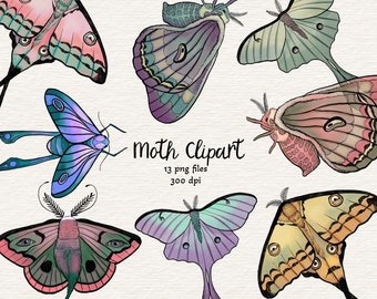 Colorful moth clipart, 13 png files, INSTANT DOWNLOAD