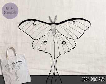 Luna Moth Line Artwork, digital download JPEG, PNG, SVG