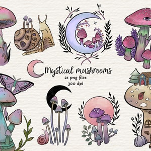 Colourful Mystical Mushrooms Clipart, Fall Forest Fungus Clipart, Mushroom Woodland, 21 png files, INSTANT DOWNLOAD