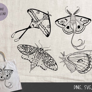 Moth SVG Bundle, Moth Line Art Clipart, Moth t-shirt design, Moth Line art png, sag, jpeg