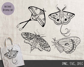 Moth Line Art Clipart Bundle, SVG PNG JPG (Digital Download)