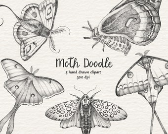 Hand Drawn Moth Clipart, Line Art Butterfly PNG (Instant Download)