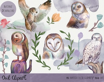 Watercolor Owl Clipart Set, Scrapbooking Graphics (Digital Download)