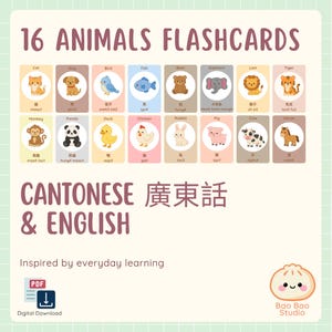Op de afbeelding: Een set van 16 dierenflashcards met illustraties van een kat, hond, vogel, vis, beer, olifant, leeuw, tijger, aap, panda, eend, kip, konijn, varken, koe en paard met Engelse en Kantonese tekst. De titel luidt 16 ANIMALS FLASHCARDS.