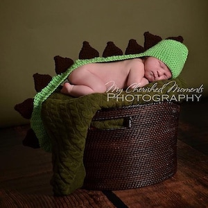 Newborn Baby Dinosaur Costume, Crochet Dinosaur Prop, Dinosaur, Photography Prop, Halloween Costume, Dino Hat, Ready to Ship