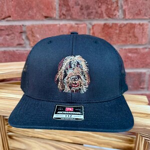 German Wirehaired Pointer Black