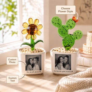 Pode incluir: Dois arranjos de flores decorativos em vasos quadrados brancos. Um apresenta um girassol amarelo, o outro um cacto verde. Cada vaso tem uma foto a preto e branco e o texto "Best friends forever" e "Good friends, great memories".