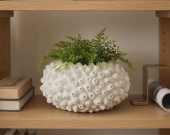 May include: A white, textured, round decorative planter filled with green foliage. The planter has a unique, porous surface and sits on a wooden shelf. Books and other decorative items are also on the shelf.
