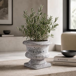 May include: A weathered, gray stone planter with a square base and ornate detailing, filled with green leafy plants. The planter sits on a neutral-toned surface, with books and a dark bowl in the background. The overall aesthetic is rustic and elegant.