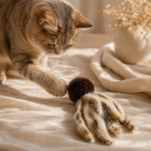 Puede incluir: Un gato atigrado marrón y beige interactúa con un juguete para gatos. El juguete es marrón y beige, parecido a un pequeño animal. La pata del gato toca el juguete. Un jarrón blanco con flores secas está en el fondo.