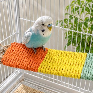 May include: A blue and white parakeet perched on a colorful rope perch inside a white birdcage. The perch is made of orange, yellow, and green rope. Green foliage is visible in the background.