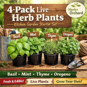 May include: A 4-pack of live herb plants, including basil, mint, thyme, and oregano, in black pots. The image features wooden signs labeling each herb, with the text "Kitchen Garden Starter Set" and "Herb+ Orchard". The bottom banner reads "Fresh & Edible!" and "Grow Your Own!"