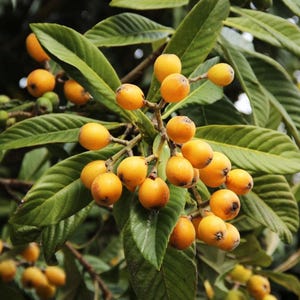 May include: A set of three ceramic mugs with a speckled, matte finish. The mugs are in shades of cream, light gray, and dark gray. Each mug has a simple, minimalist design and a rounded handle.