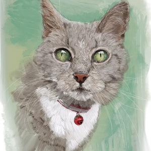 Cat memorial portrait, digital painting from photo, custom pet portrait, cat memorial gift personalized, pet memorial gift, Giclee fine art image 3