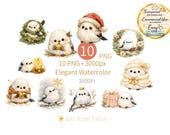 Shimaenaga Christmas Clipart PNG – 10 Gold Watercolor Elegant Holiday Birds, Luxury Winter, Long-tailed Tit, Transparent