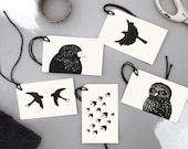 Bird Gift Tags - Eco-friendly