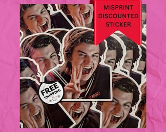 Inspired Steve Harrington Imperfect Discounted Vinyl Stickers | Misprint Stickers Grab Bag | Flawed Sticker | Stranger Things |