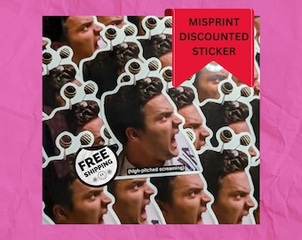 Inspired Nick Miller ImperfectDiscounted Vinyl Stickers | Misprint Stickers Grab Bag | Flawed Sticker  |