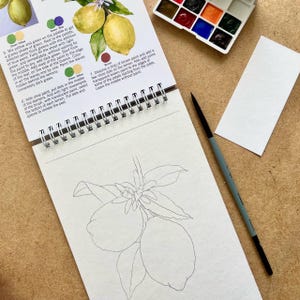 May include: An open sketchbook with a lemon illustration, a watercolor palette, a paintbrush, and a watercolor guide. The guide shows how to paint lemons with watercolor. The palette contains various colors. The image is on a wooden surface.