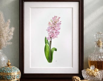 Original watercolor painting Pink Hyacinth, Botanical illustration Hand painting Watercolor art Olha Mi Corazon, Original or Geclee Copy