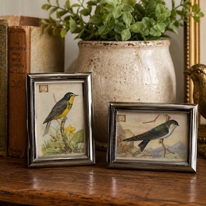 May include: Two rectangular silver-toned metal picture frames containing vintage-style bird illustrations. The left frame displays a yellow and black bird on a branch, while the right frame features a swallow perched on a twig against a landscape.
