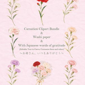 Op de afbeelding: Watercolor anjer clipart bundel met washi papier. De afbeelding toont anjer illustraties in rood, roze, paars en crème, samen met tekst in het Engels en Japans.