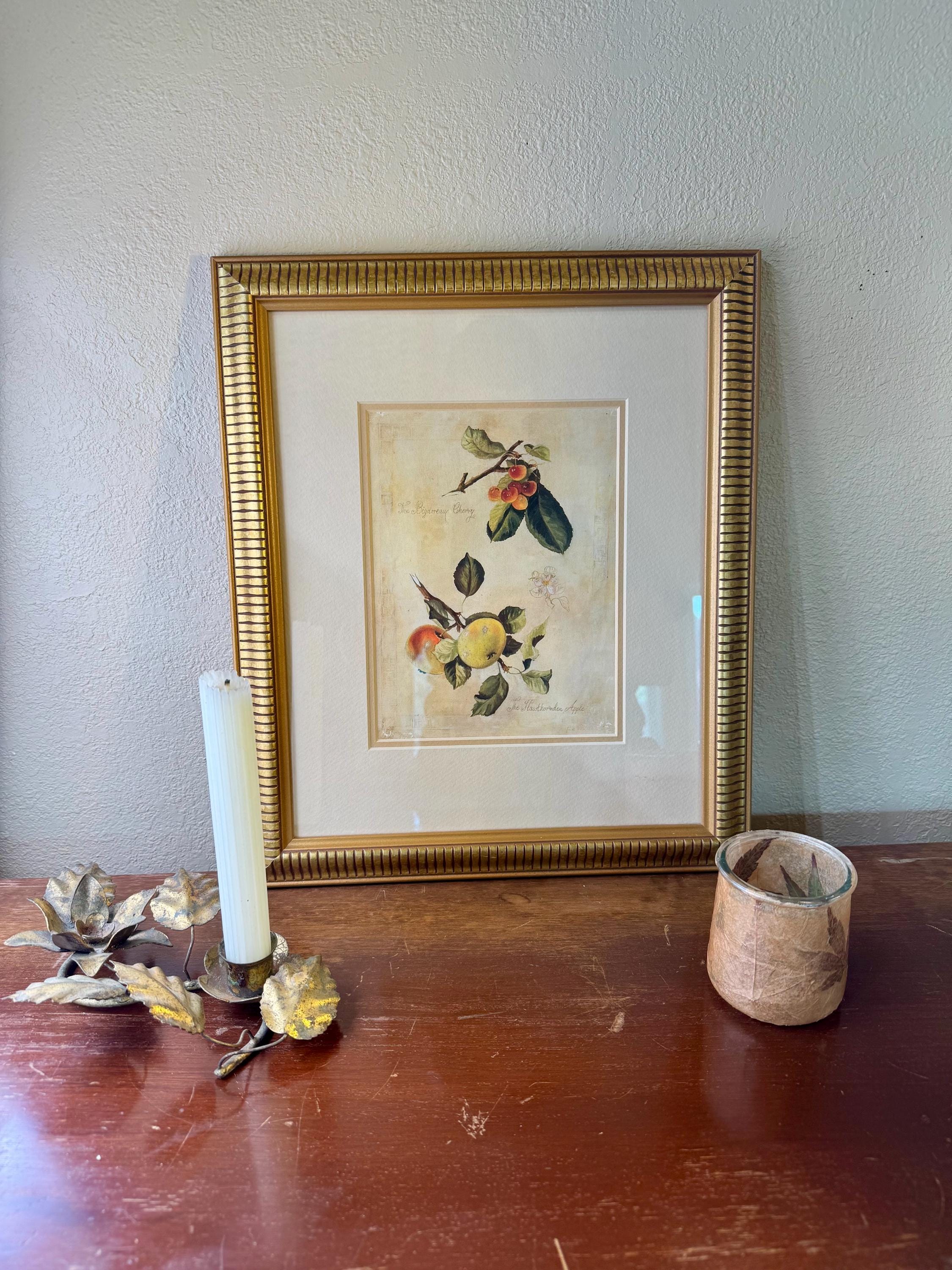 Fabrice de villeneuve - Etsy 日本