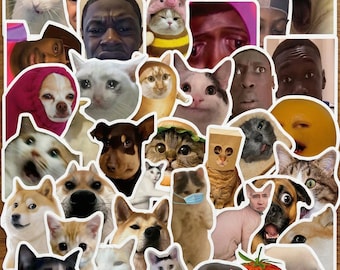 50 pegatinas divertidas con memes, calcomanías de humor irreverente para la Generación Z, paquete de vinilo impermeable para portátil, guitarra y equipaje, regalo de broma para adolescentes