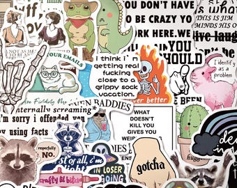 50pcs Unhinged Meme Stickers, The Horrors Persist Sarcastic Decals, Waterproof Vinyl Pack For Kindle Laptop, Introvert Bestie Gift