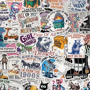 May include: A collection of vibrant stickers with diverse illustrations and text. The stickers showcase cartoon characters, animals, and amusing phrases. Designs include a raccoon in a dumpster, a goose on a scooter, and the text "All of my systems are nervous."