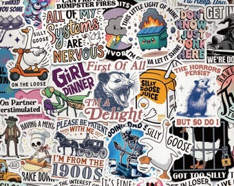 200 pegatinas divertidas con memes, calcomanías holográficas de energía caótica desquiciada para Kindle, Bujo, regalo de broma sarcástico para introvertidos