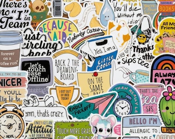 50 pegatinas de memes sarcásticos, calcomanías de energía caótica desquiciada, vinilo impermeable para fundas de Kindle y iPad, regalo divertido para introvertidos.