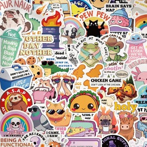 May include: A collection of assorted vinyl stickers featuring various cartoon characters, animals, and humorous text. The designs include a skeleton, a cat with guns, a taco, a sloth, a frog, and a hamster in a car, all in vibrant colors.