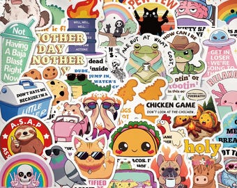 55pcs Delulu Unhinged Meme Stickers, Trauma Dumpling Mental Breakdown Decals, Waterproof Vinyl For Laptop Kindle, Teen Gag Gift