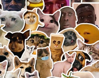 Paquete de 50 pegatinas divertidas con memes para Kindle, pegatinas estéticas Y2K para portátiles, pegatinas Kawaii para bullet journal.