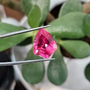 May include: A faceted, triangular, pink gemstone is held by tweezers against a backdrop of green succulent leaves. The gem's facets catch the light, showcasing its vibrant color and clarity.