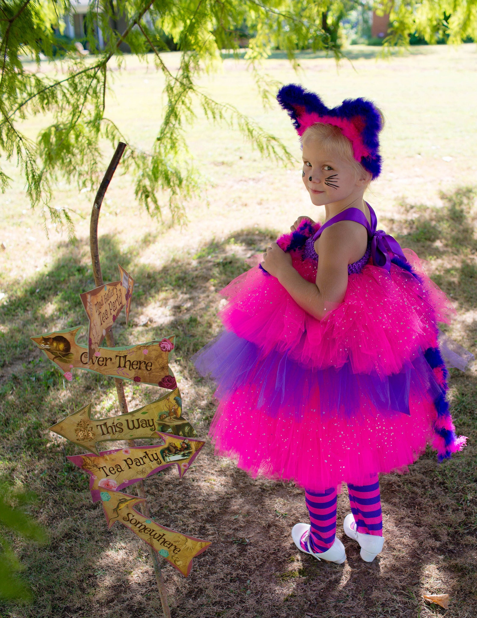 Cheshire Cat Cheshire Cat Costume Tutu Dress Alice in Etsy
