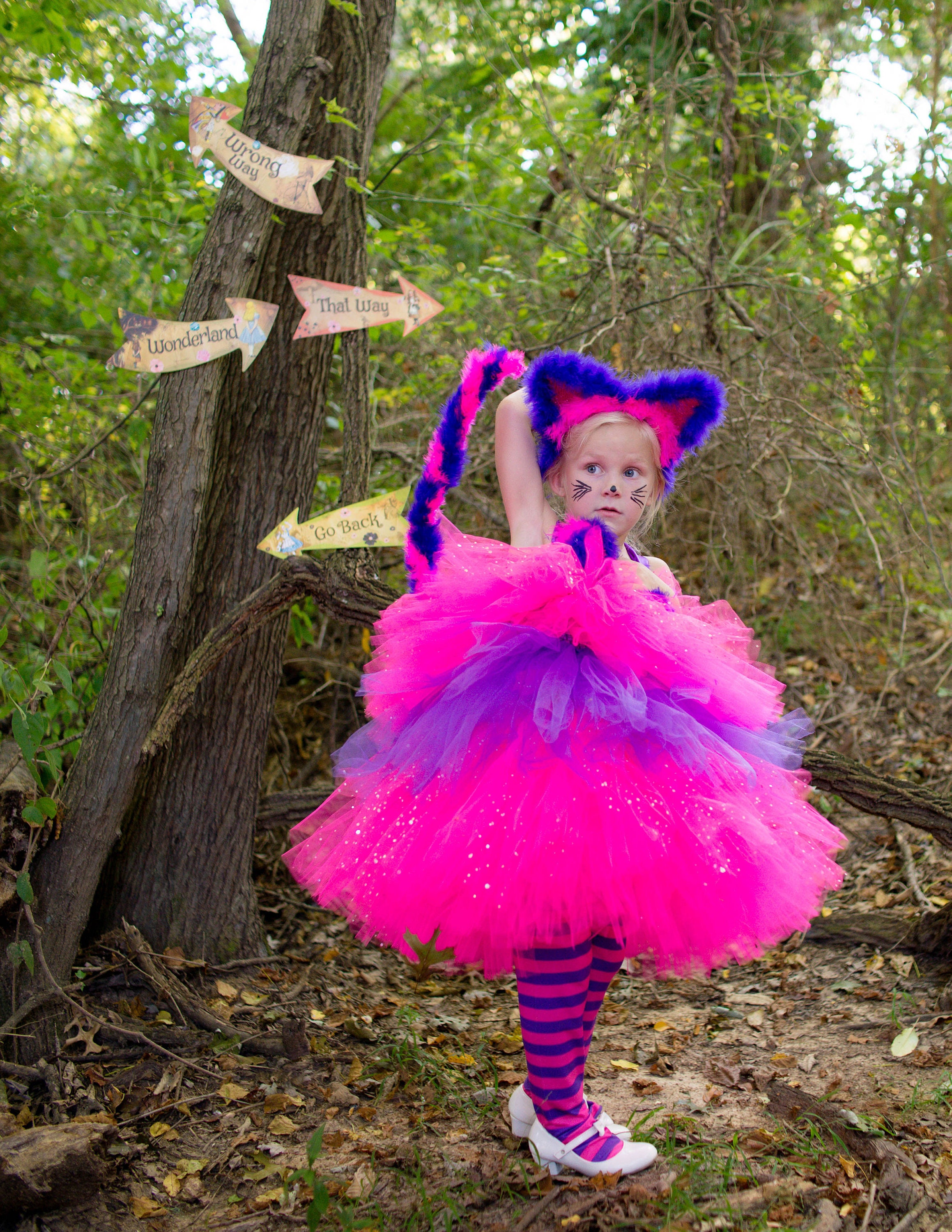 Cheshire Cat Cheshire Cat Costume Tutu Dress Alice in Etsy