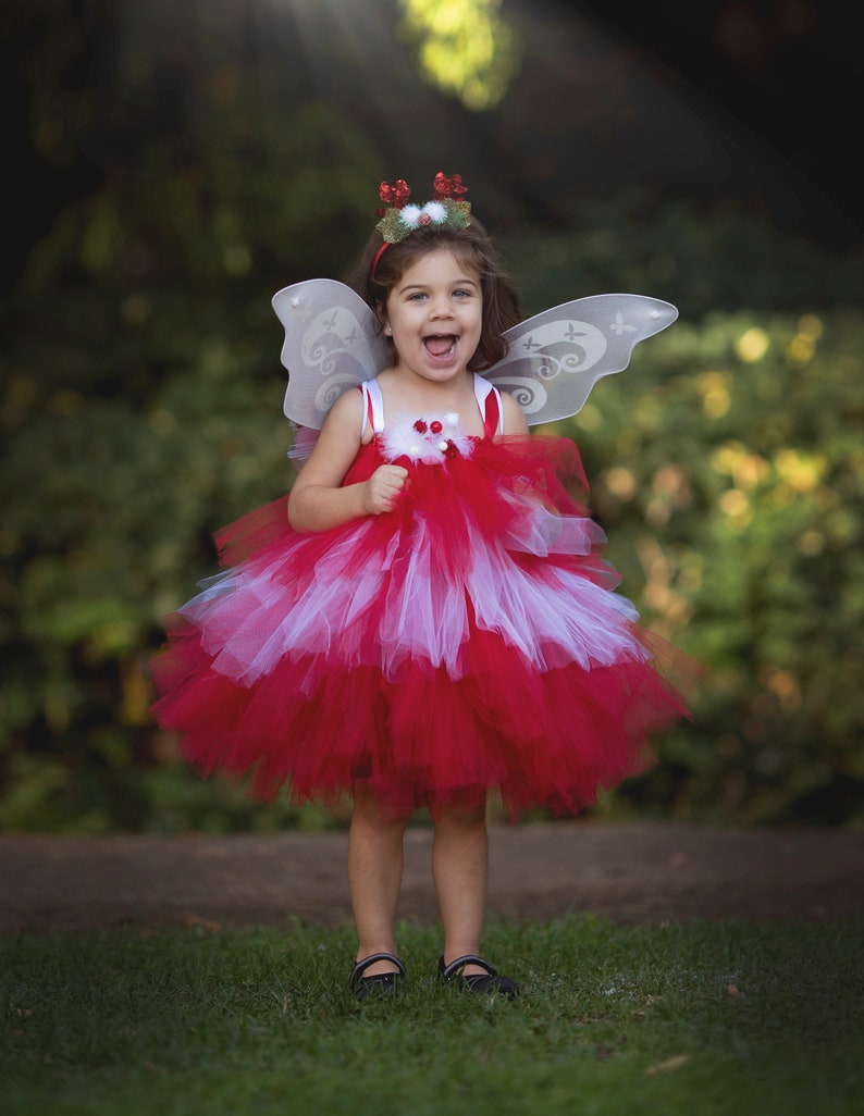 christmas fairy costume