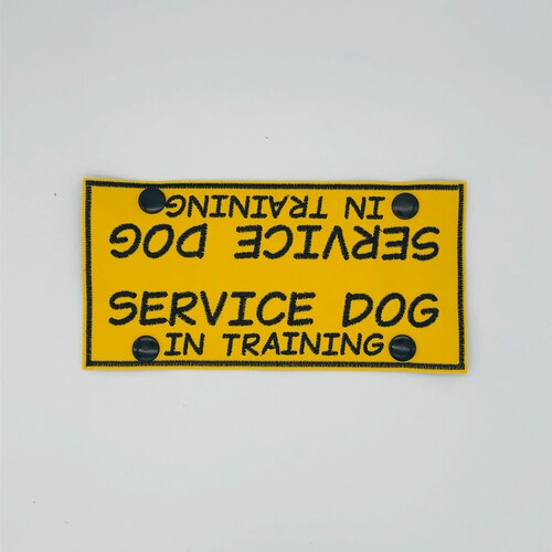 Service Dog in Training Leash Wrap Service Dog Leash Wrap Etsy