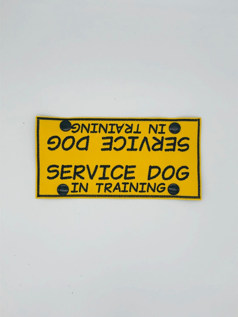 Service Dog in Training Leash Wrap Service Dog Leash Wrap Etsy