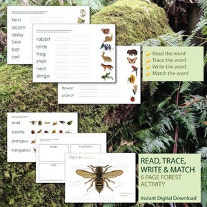 May include: A six-page forest activity set featuring educational worksheets with nature-themed vocabulary, tracing exercises, and matching tasks. The pages include illustrations of animals, insects, and plants, along with a diagram labeling the parts of a bee.