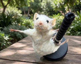 こんにちは？ポールダンスをする剥製ネズミ｜面白い擬人化された白いネズミ｜奇妙で風変わりなジョークギフト｜不気味なインテリア｜ハゲワシ文化アート