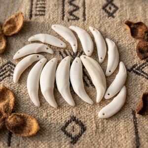 May include: A collection of off-white, curved pendants, resembling teeth or claws, arranged in a circular pattern. Each pendant has a small hole at one end. The pendants are on a textured, beige fabric with geometric patterns and dried orange peels.