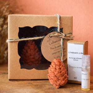 Peut inclure: Une boîte en carton marron avec une fenêtre révélant un objet en forme de pomme de pin. Une étiquette avec du texte est suspendue à la boîte. Une petite bouteille et une boîte sont à côté de la boîte. Le texte est "L'Instant créa".