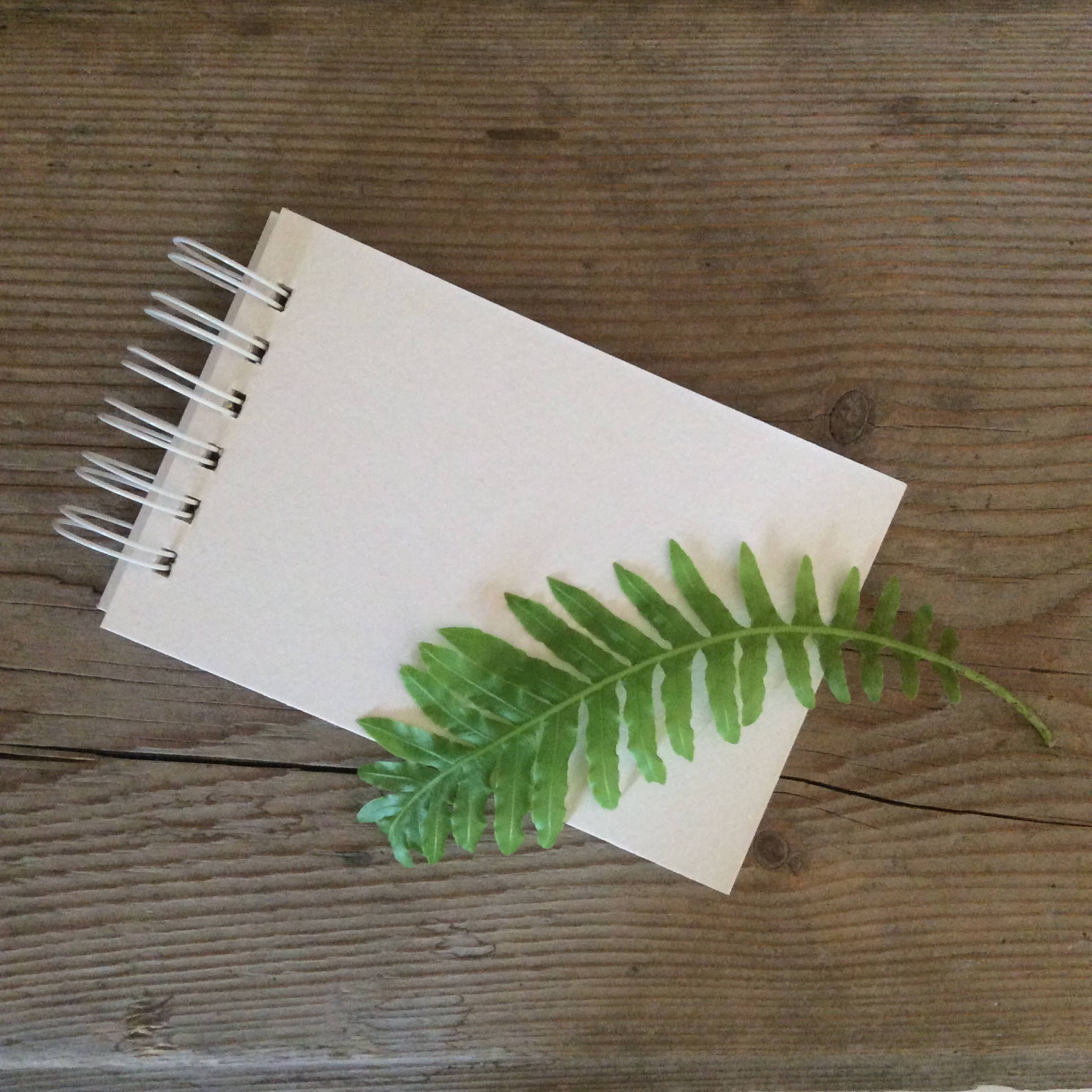 Blank scrapbook album / small notebook / white cardboard album Etsy