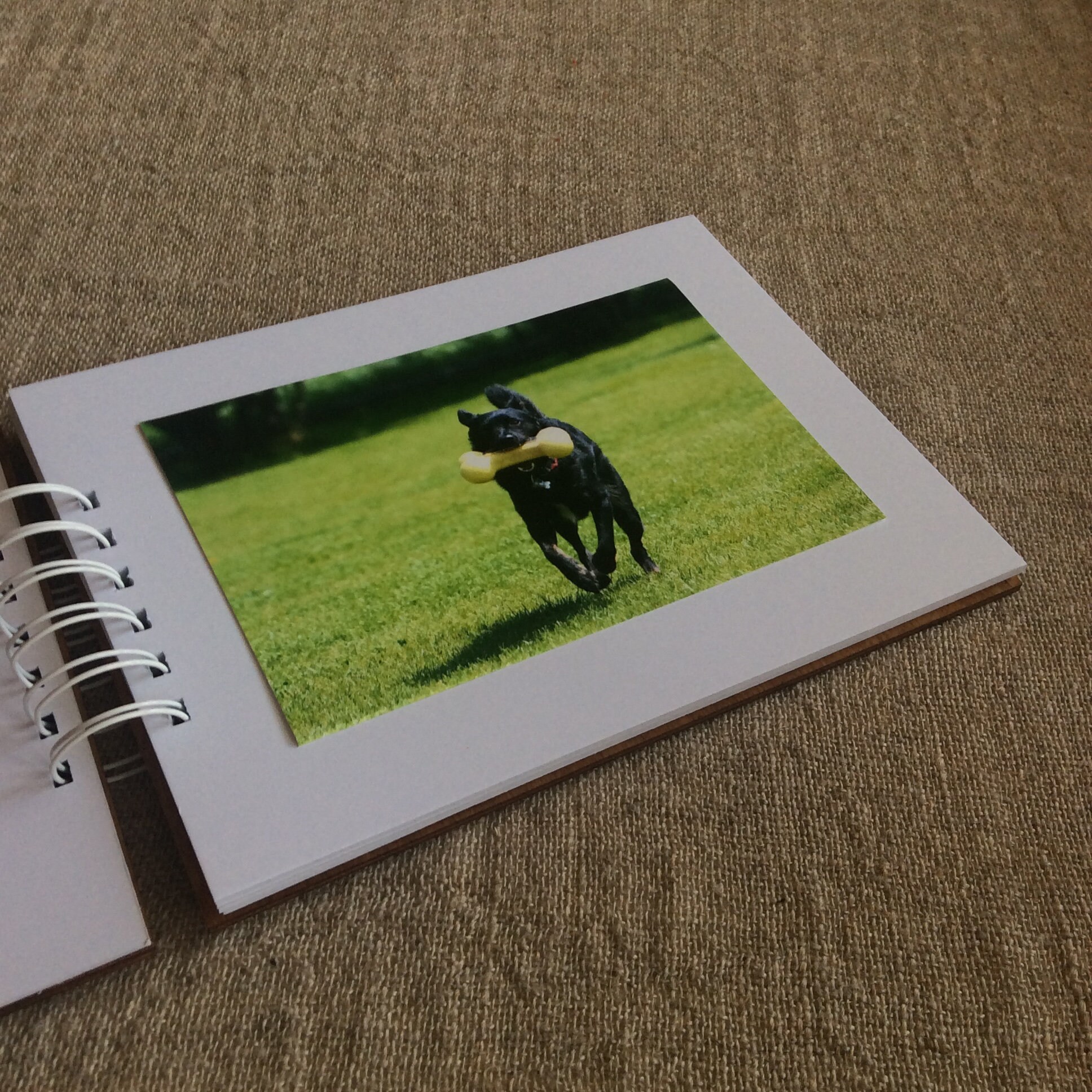 Dog Memory Book Dog Loss Gift Wood Photo Album Rainbow Etsy